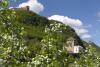 Appiano triangle of castles