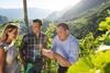 Two men and a woman in the vineyard