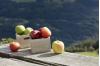 14apfel16-r2a8592-8-1