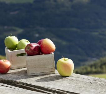 14apfel16-r2a8592-8-1