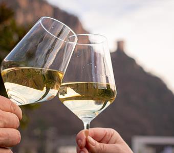 wein-terlan-florian-mair-2026